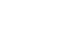 Vector